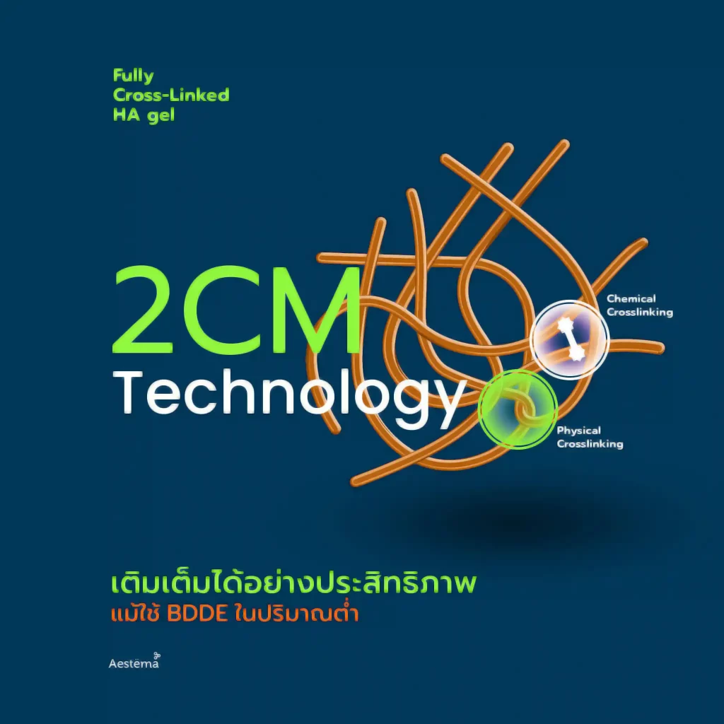 2CM Technilogy 2CM Technilogy
