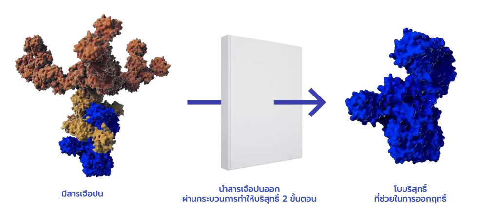 xeomin โบบริสุทธิ์ ที่มีปราศจากเจือปน 0% The Science Behind XEOMIN xeomin โบบริสุทธิ์ ที่มีปราศจากเจือปน 0% The Science Behind XEOMIN