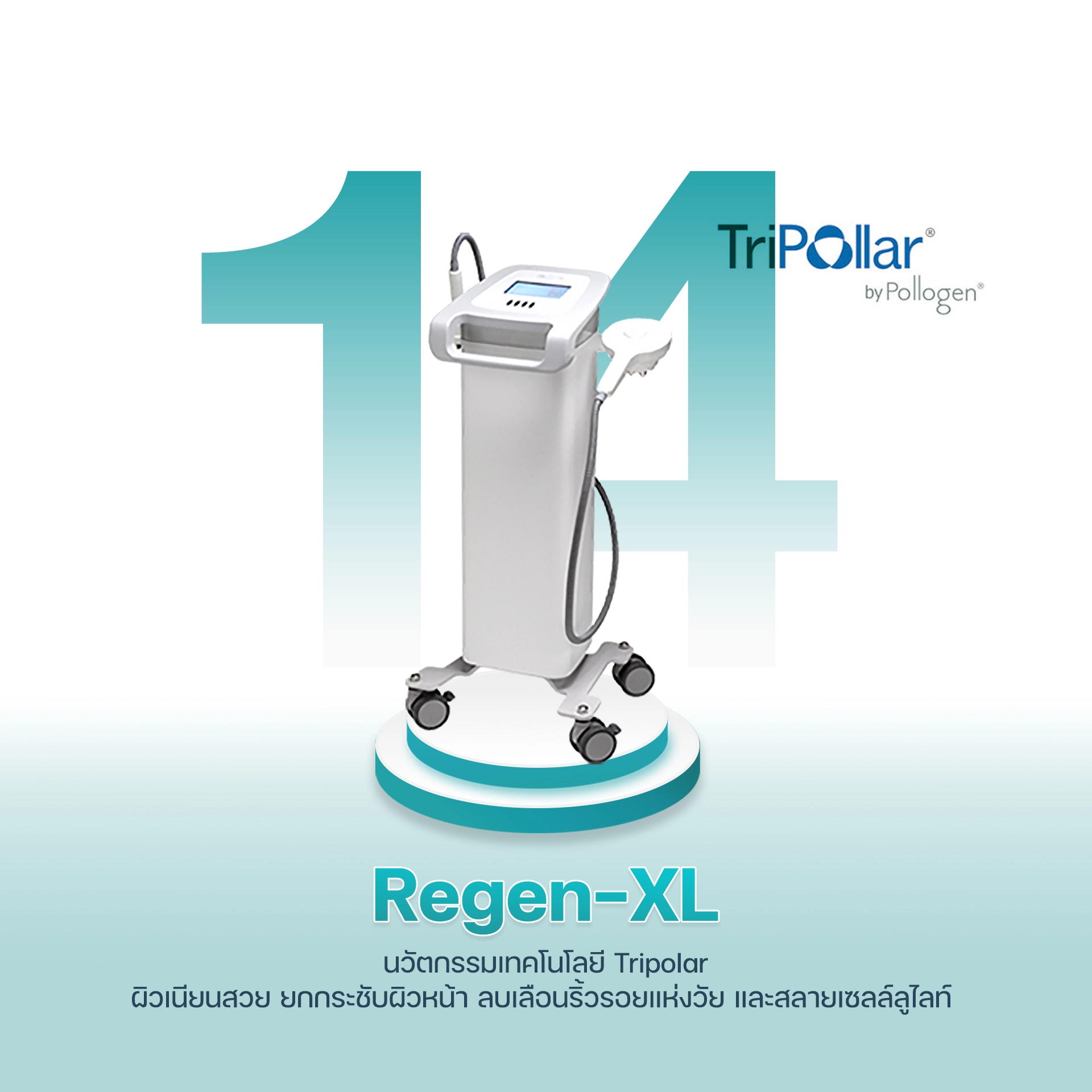 14 Regen-XL