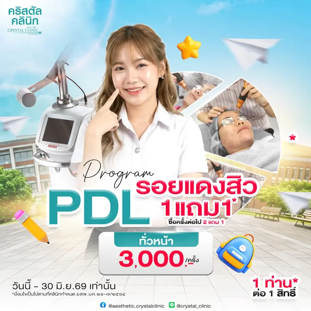 PDL-Pro